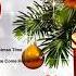 Merry Christmas 2019 Christmas Songs Greatest Hits The Best Christmas Music Ever