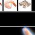 Dr Gundry Ranks EVERY Seafood Seafood Nutrition Tier List Superfood Vs F Tier