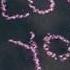 Нарисую мелом напишу I Love YOU