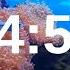 5 Minute Timer Relaxing Music Lofi Fish Background
