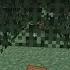 Starting From 0 On Donut SMP