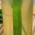 Lemongrass And Pandan Tea Refreshing And Relaxing Drink