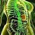 5 Minutes To DETOX From Parasites With 1150 Hz Rife Frequency