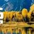 Geom Back To You Housenick MELODY ACS Release