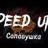 Соловушка Спед ап Speed Up Solovushka