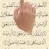 Let S Learn Surah Al Alaq With Finger Tracking