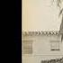Eric Clapton Mainline Florida