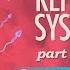 Reproductive System Part 3 Sex Fertilization Crash Course Anatomy Physiology 42