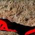 The Most Gruesome Caving Accidents In The World Cave Exploring Gone Wrong