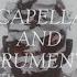 CASTLE OF GLASS Acapella