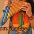 Coco Jambo Ammorett Munir Lio Official 2021