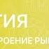 БИОЛОГИЯ 7 класс Внутреннее строение рыб
