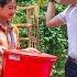 CEO Jack Suddenly Cleaned Furniture For Tu Tien To Build New House And Made Her Happy Ly Tu Tien