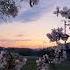 Sakura Song Music Lyrics Sunset Sakura