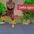 Different Types Of Dance In Igbo Land Subscribe Trending Youtube Fyp Igboamaka Technology