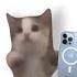 Happy Happy Cat But Popular Ringtones