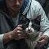 Imon The Cat Guardian Of HMS Amethyst True Story From The Yangtze Incident 1949