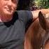 Stallone S Horse Pure Loyalty Rockybalboa Stallone Sylvesterstallone Hollywood