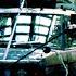 Mud Sweat Beers The Darien Gap 1972 Trans Americas Expedition