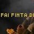 CANNELLA ROMPICAPO LYRIC VIDEO