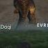 TRIKE LOCOMOTION LEGACY Vs EVRIMA