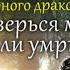 Сбежавшая жена Чёрного дракона Доверься мне или умри Алисия Эванс Аудиокнига