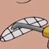 Caillou En Français Docteur Caillou Dessin Animé Complet En Francais Caillou En Français
