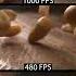 EXTREME SlowMo Camera Comparison 1000fps Vs 120fps Slowmotion Fps Cinematography