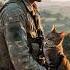 The Stealthy Heroes Military Cats In History