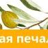 24 мая 2025 Спасительная печаль Под сенью благодати Адвентисты