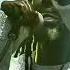 Buju Banton Ignites Cali Roots 2025 A Reggae Legend S Triumphant Debut In Monterey