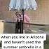 This Is Your Reminder To Open Your Umbrellas And Don T Ignore Them For A Year Arizona Wasps
