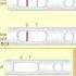 Pregnant Test Positive Negative Shorts Youtubeshorts Pregnencykitresults
