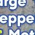 Beginners Guide To Using Large Stepper Motors 087