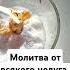 молитва чистка