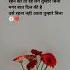 Tum Rahat Ho Love Poetry And Love Shayri Lovestatus Pyar Shayri Couplestatus Short