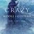 Crazy Slowed Reverb Wooli Codeko FREE DOWNLOAD