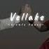 Vellake Slowed Reverb Slowfy Tunes