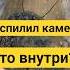 Распилил камень внутри оказалось золото камнемания минералы окаменелости аммонит наутилус