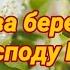 Молитва беременной женщины Господу Богу