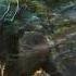 MAYBE Thom Pace Grizzly Adams Theme Song