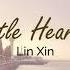 Lin Xin 刘心 A Little Heartbeat