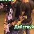 Мечтай Действуй Достигай Матвей мотивацияДетей ВсёПолучится мечта достижения ребенка