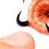 He Bought A Venomous BLOODWORM As A PET