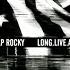 A AP Rocky Wild For The Night Official Audio Ft Skrillex Birdy Nam Nam