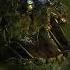 Fnaf 3 Springtrap Rare Screen Animation Fnaf AR Model Shorts