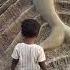 Wheel Mashali