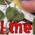 What Salt Tastes The Best Li Na K Rb Cs And More