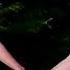 Trailer HEAVENLY CREATURES 1995 Peter Jackson Kate Winslet