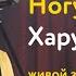 Ногу свело Хару Мамбуру живой звук
